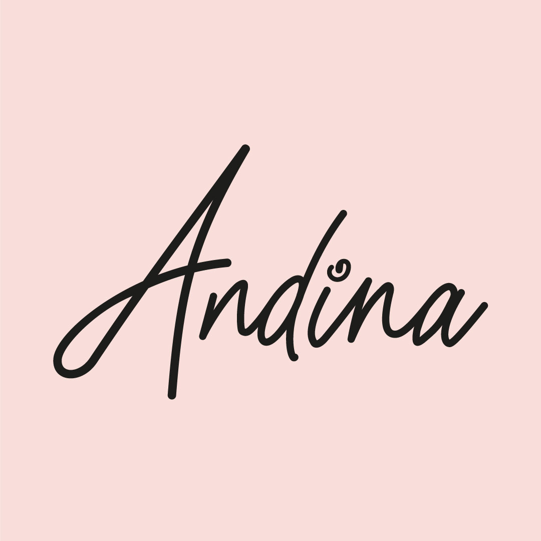 Andina Online Logo
